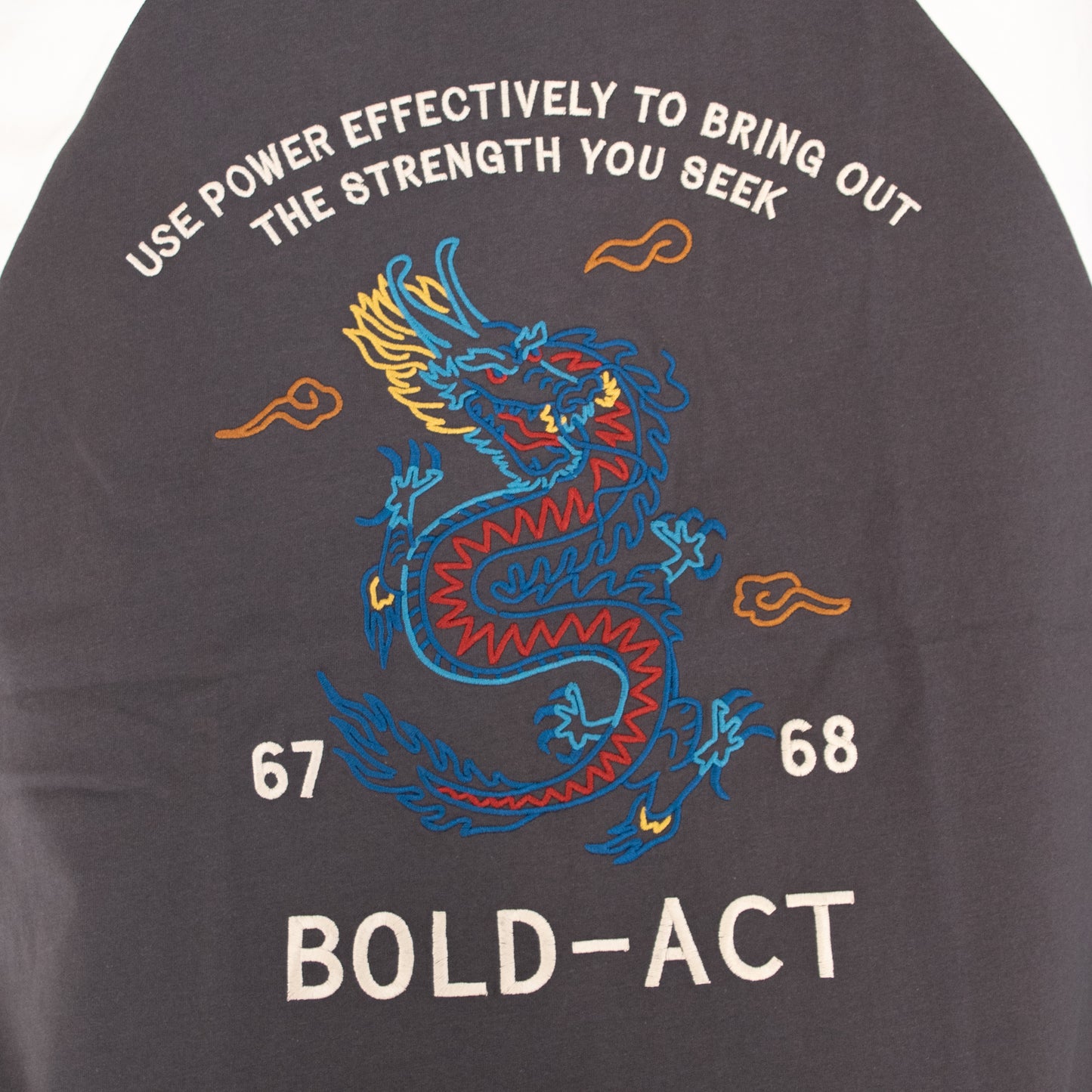 POWER TO THE PEOPLE 虎&龍刺繍 スカジャンTシャツ CHARCOAL