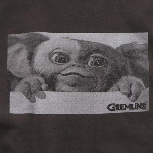 SCREEN STARS BEST GREMLINS グレムリン スウェットシャツ PHOTO BLACK