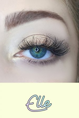 AOA Studio False Eyelashes - Elle