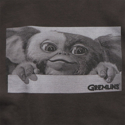 SCREEN STARS BEST  GREMLINS グレムリン スウェットシャツ PHOTO BLACK