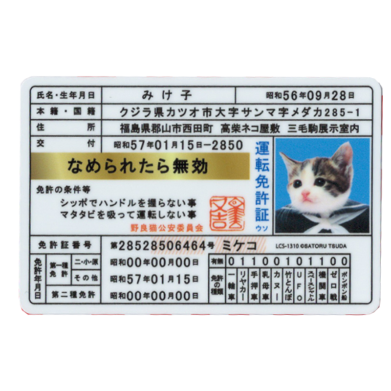 なめ猫 免許証04 みけ子 なめ猫ダイカットビニールステッカー