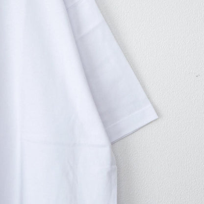 VISION STREET WEAR 寿司 スケートボード 半袖 Tシャツ WHITE Bエビ