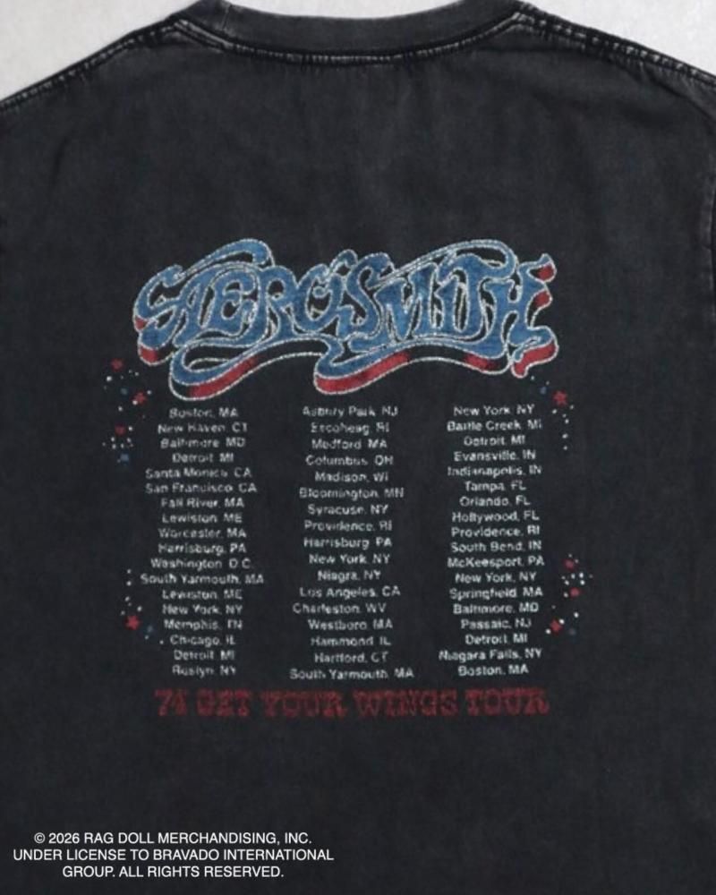 AEROSMITH エアロスミス バンドロゴTee / 半袖Tシャツ Black