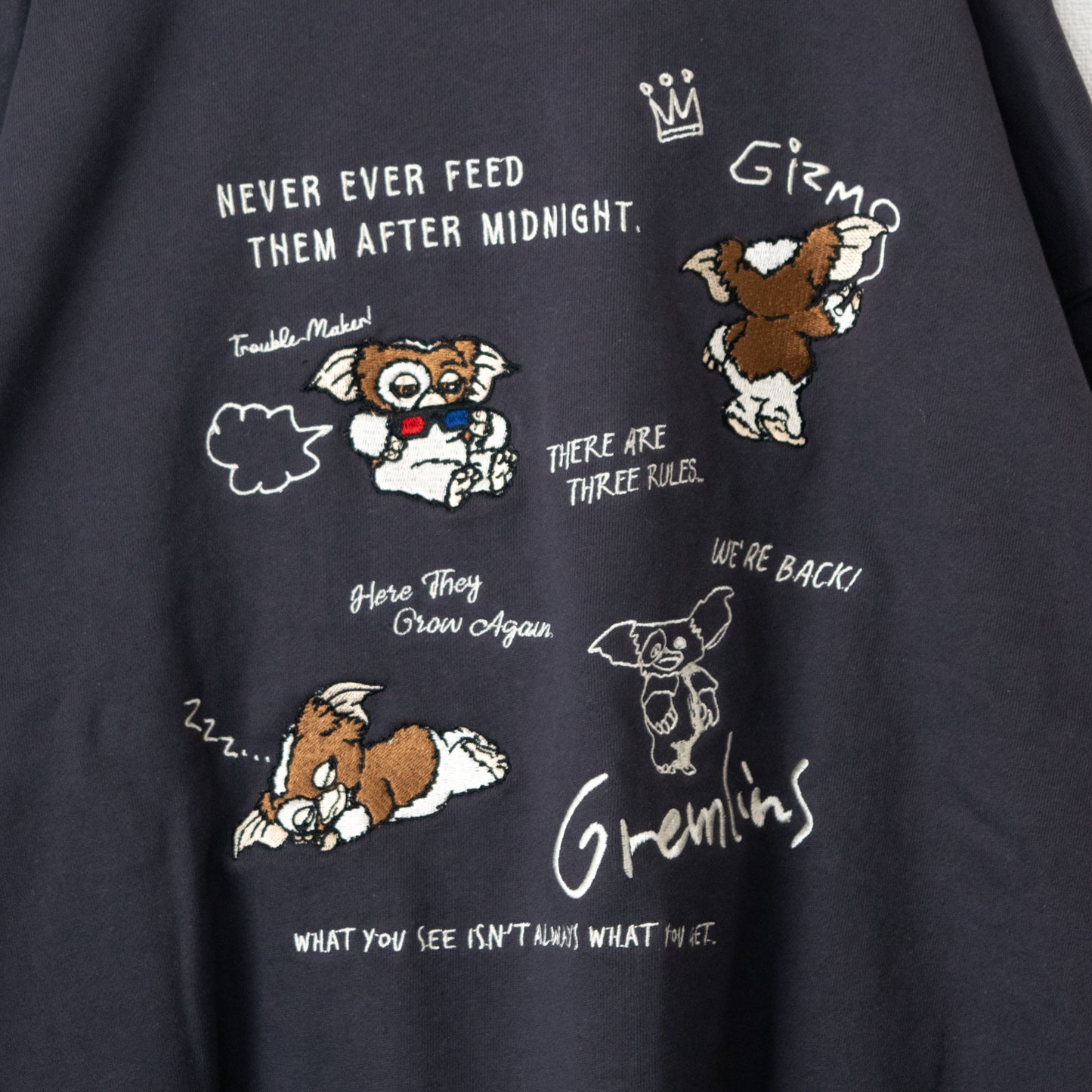 GREMLINS Gizmo Doodle Embroidered Sweatshirt in CHARCOAL