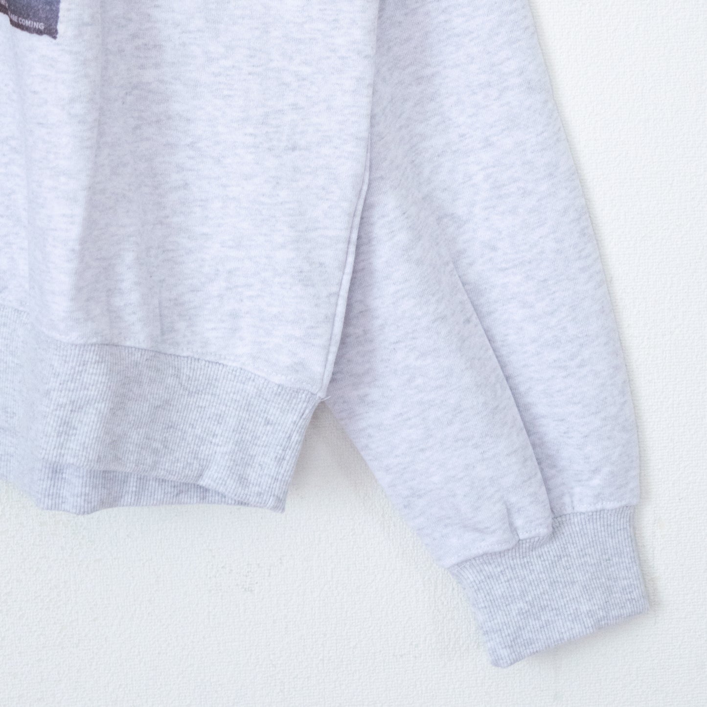 GREMLINS ギズモ ムービーポスター スウェット LIGHT GRAY