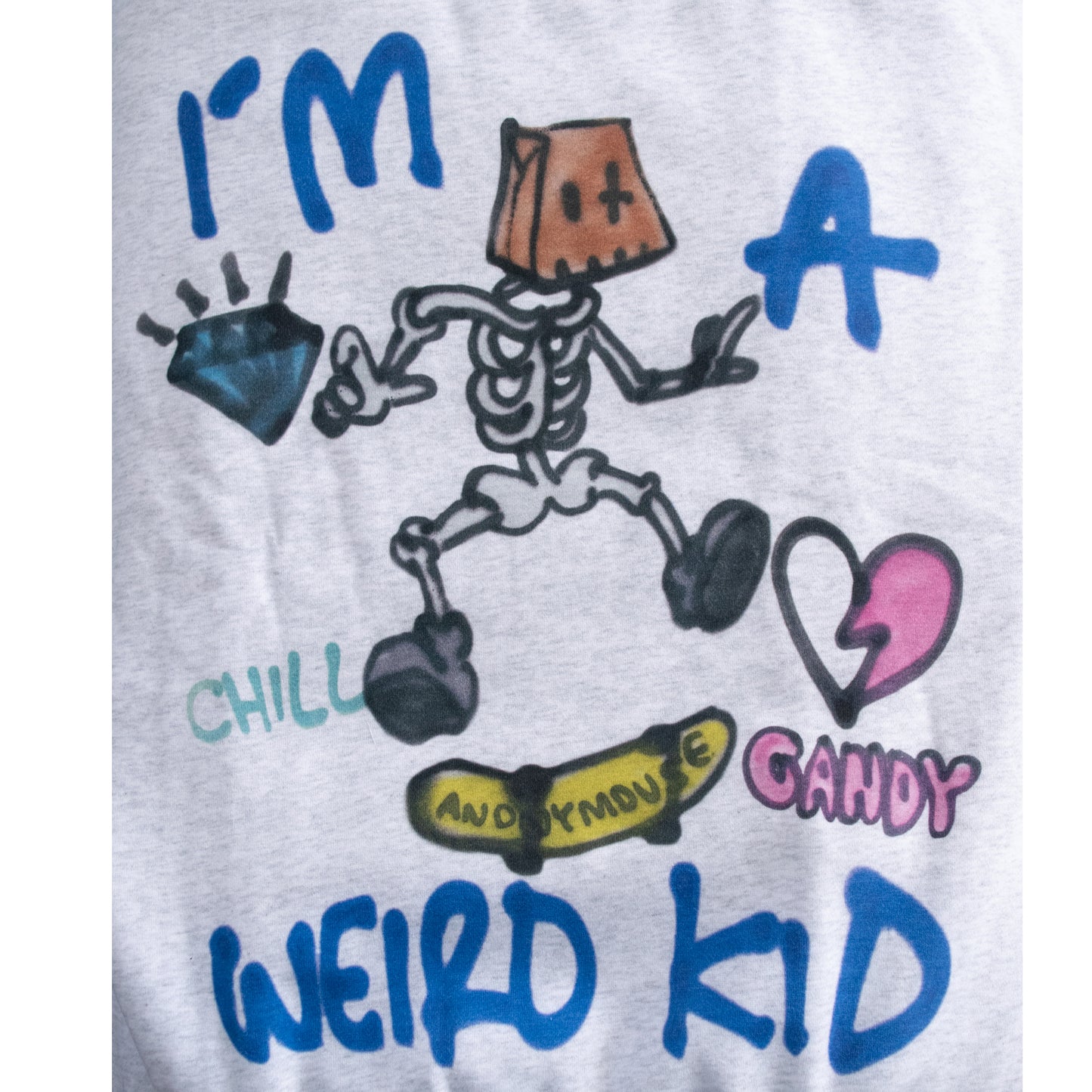 VISION STREET WEAR guernika Skull Skater スウェットシャツ GRAY