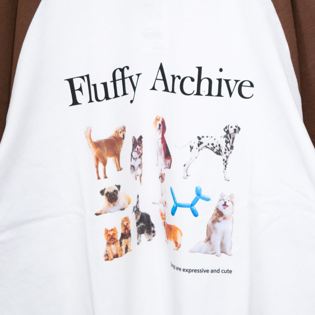 Timely Warning DOGS 犬 フォトプリント Tシャツ WHITE