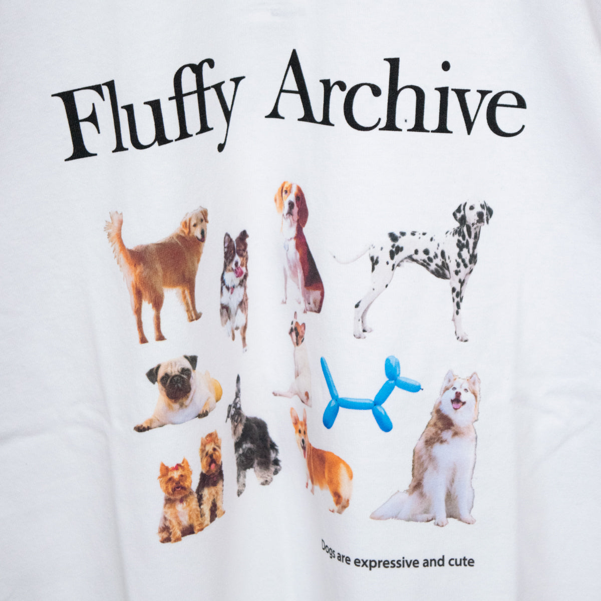 Timely Warning DOGS Dog Photo Print T-Shirt WHITE