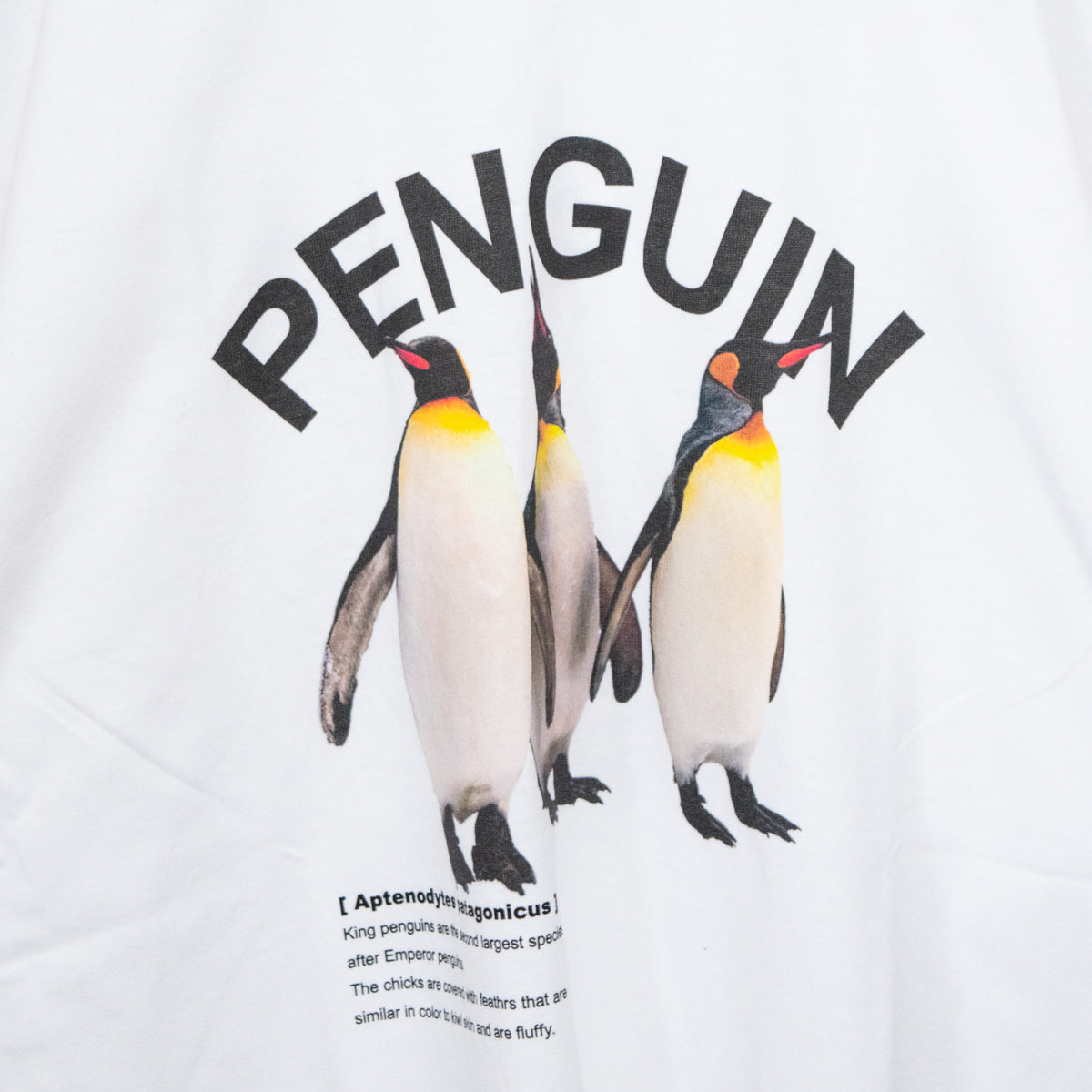 Timely Warning Penguin Photo Print Ringer T-Shirt WHITE