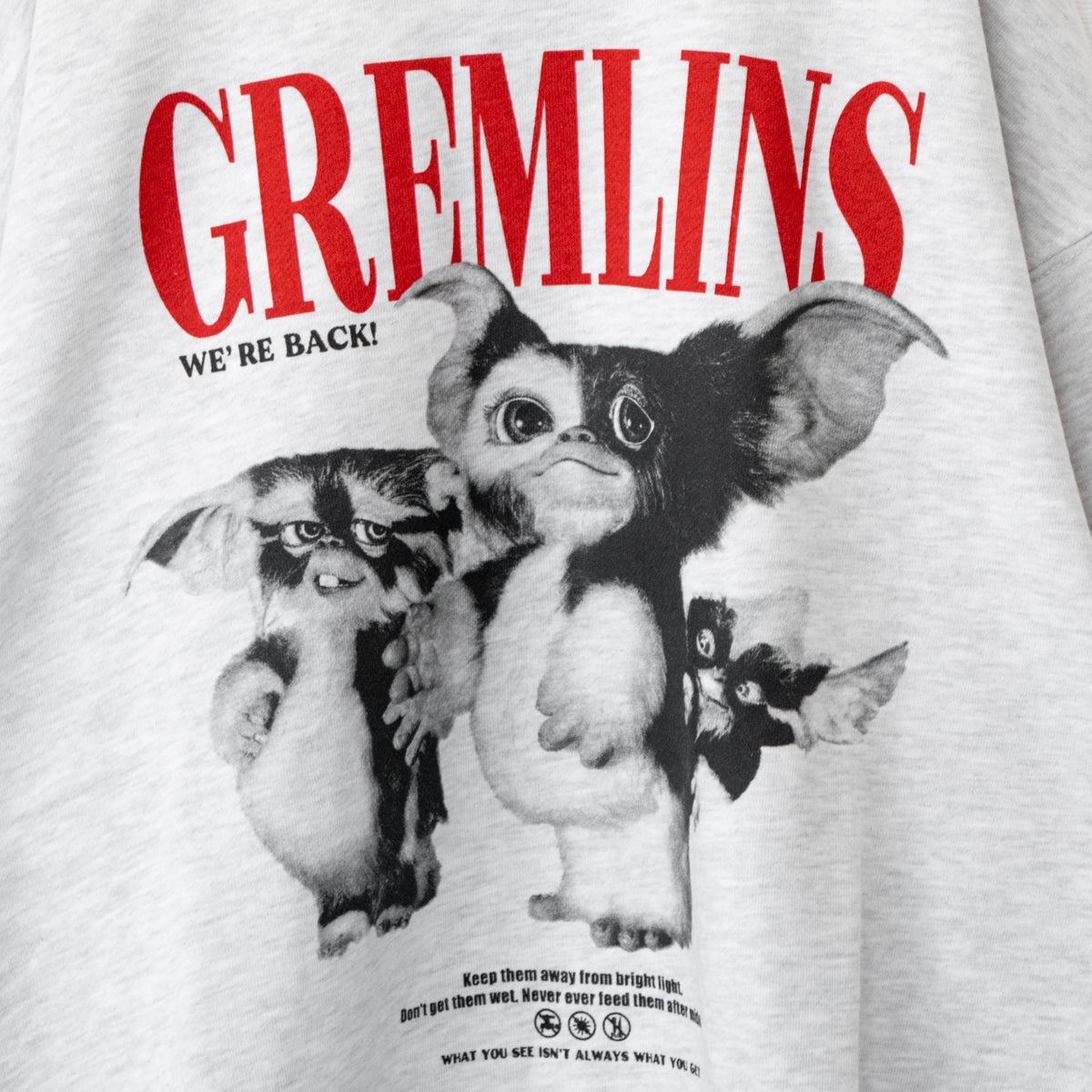 GREMLINS Gremlins Photo Print Fleece Sweatshirt Unisex Kinari IVORY