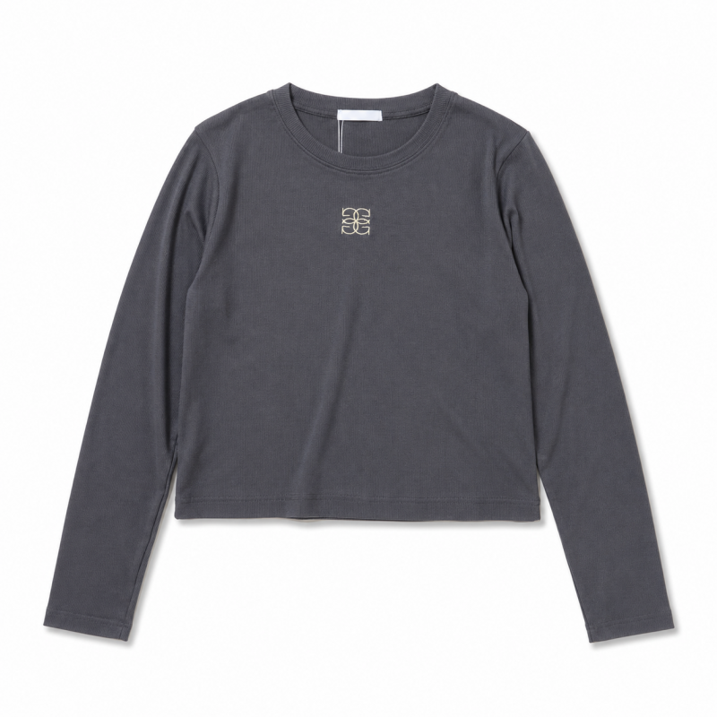 ロゴ 刺しゅう テレコ素材 チビ Tシャツ CHARCOAL