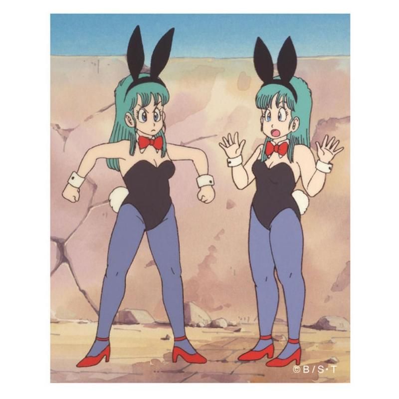 キャラクターステッカー ドラゴンボール ブルマとブルマ TE1443
