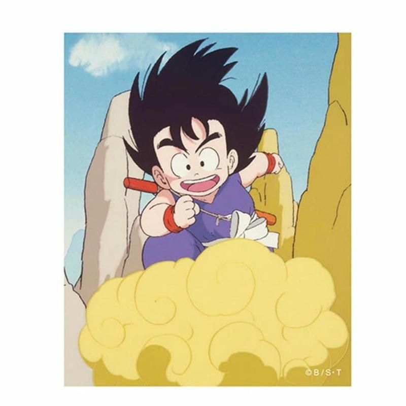 キャラクターステッカー ドラゴンボール 孫悟空5 TE1440
