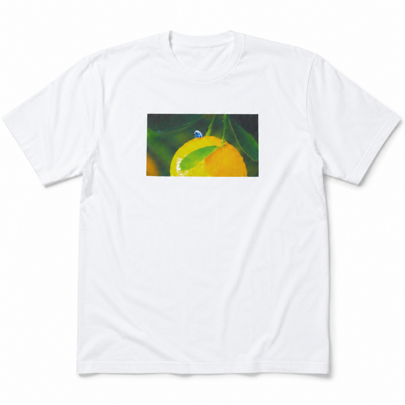 パペットスンスン PUPPET SUNSUN キャラクター BIG Tシャツ ユズ WHITE PS-8128