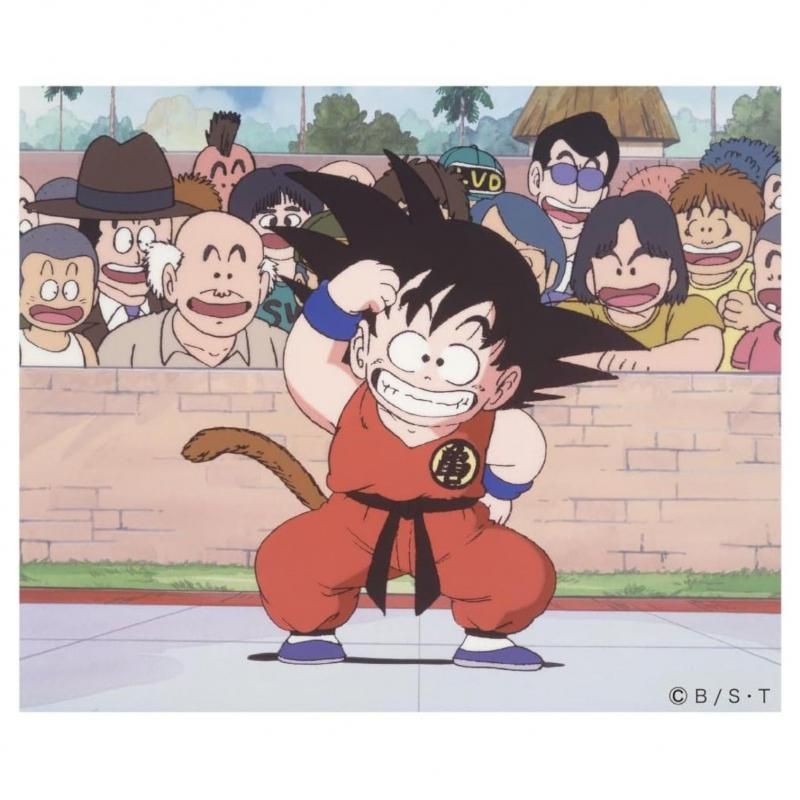 キャラクターステッカー ドラゴンボール 悟空/天下一武道会 TE2007